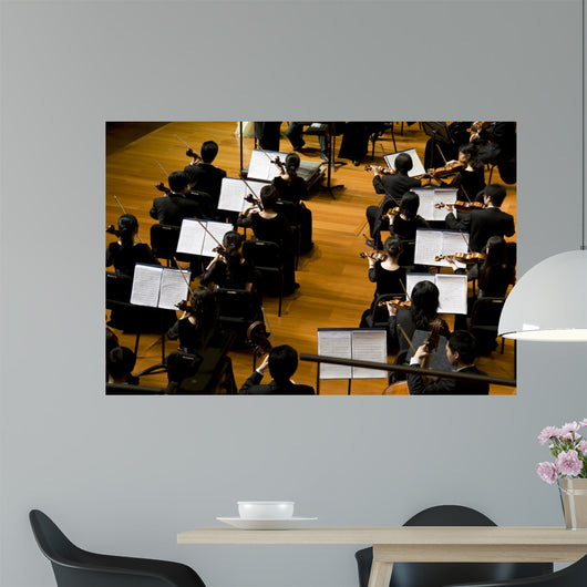 Symphony Concert