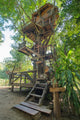 Beautiful tree house in Chiang Mai province, Thailand Wall Mural