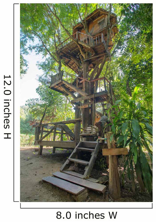 Beautiful tree house in Chiang Mai province, Thailand Wall Mural