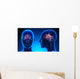 Female Limbic System Brain Anatomy - blue concept Wall Mural