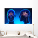 Female Limbic System Brain Anatomy - blue concept Wall Mural