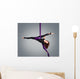 Beautiful dancer on aerial silk, aerial contortion, aerial ribbo Wall Mural