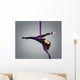 Beautiful dancer on aerial silk, aerial contortion, aerial ribbo Wall Mural