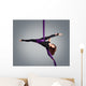 Beautiful dancer on aerial silk, aerial contortion, aerial ribbo Wall Mural