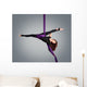 Beautiful dancer on aerial silk, aerial contortion, aerial ribbo Wall Mural