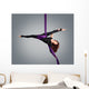 Beautiful dancer on aerial silk, aerial contortion, aerial ribbo Wall Mural