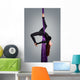 Beautiful dancer on aerial silk, aerial contortion, aerial ribbo Wall Mural