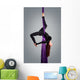 Beautiful dancer on aerial silk, aerial contortion, aerial ribbo Wall Mural