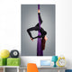 Beautiful dancer on aerial silk, aerial contortion, aerial ribbo Wall Mural