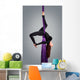 Beautiful dancer on aerial silk, aerial contortion, aerial ribbo Wall Mural