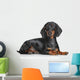 Miniature Dachshund Dog Wall Decal