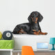Miniature Dachshund Dog Wall Decal