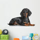 Miniature Dachshund Dog Wall Decal