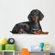 Miniature Dachshund Dog Wall Decal