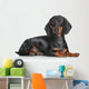 Miniature Dachshund Dog Wall Decal