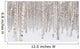 Winter Trees