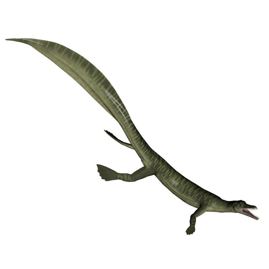 Mesosaurus Dinosaur 3D Render