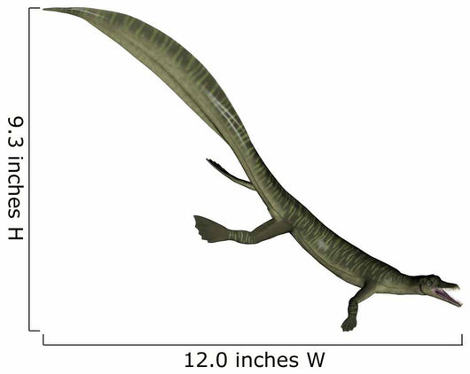 Mesosaurus Dinosaur 3D Render