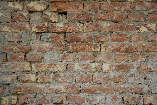 Brickwall Wall Mural