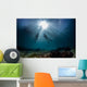 scuba divers start a dive Wall Mural