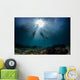 scuba divers start a dive Wall Mural
