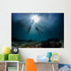 scuba divers start a dive Wall Mural