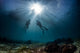 scuba divers start a dive Wall Mural