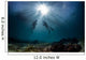 scuba divers start a dive Wall Mural