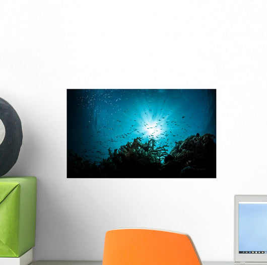 sea bed view Wall Mural