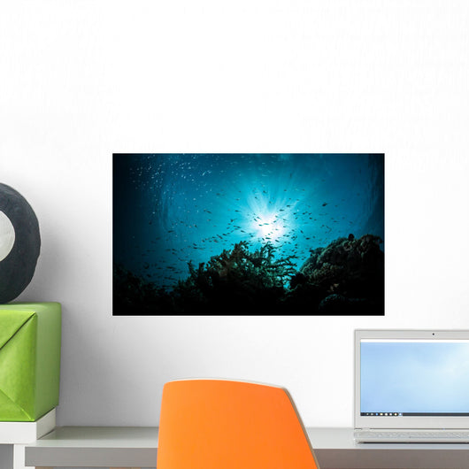 sea bed view Wall Mural