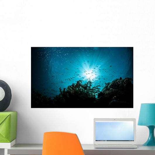 sea bed view Wall Mural