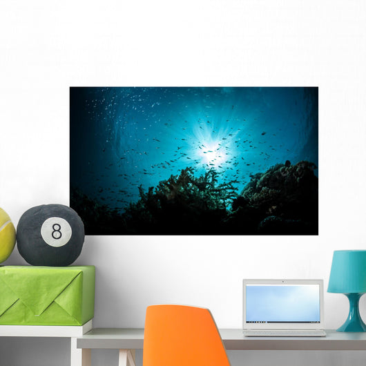 sea bed view Wall Mural