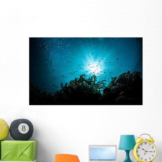 sea bed view Wall Mural