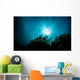 sea bed view Wall Mural