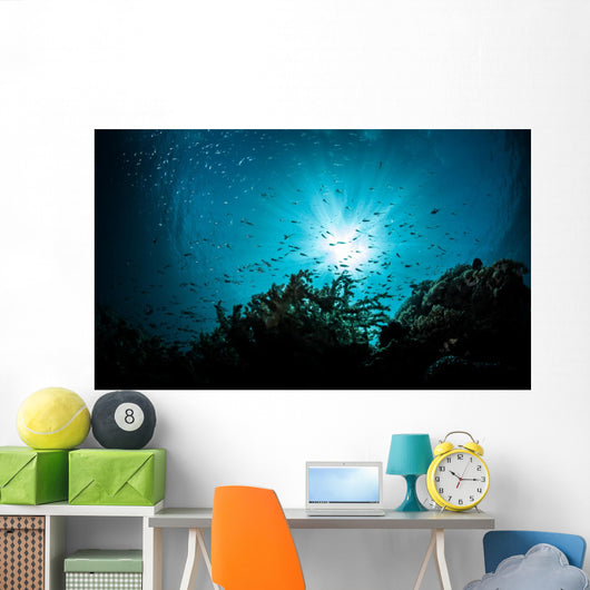 sea bed view Wall Mural