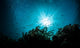sea bed view Wall Mural