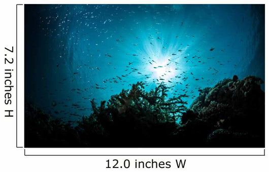 sea bed view Wall Mural