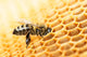 Working bee Wall Mural