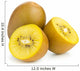 Golden kiwifruit/ kiwi cut and whole Wall Decal