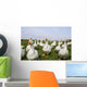 White Ducks Wall Mural