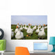 White Ducks Wall Mural