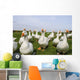 White Ducks Wall Mural