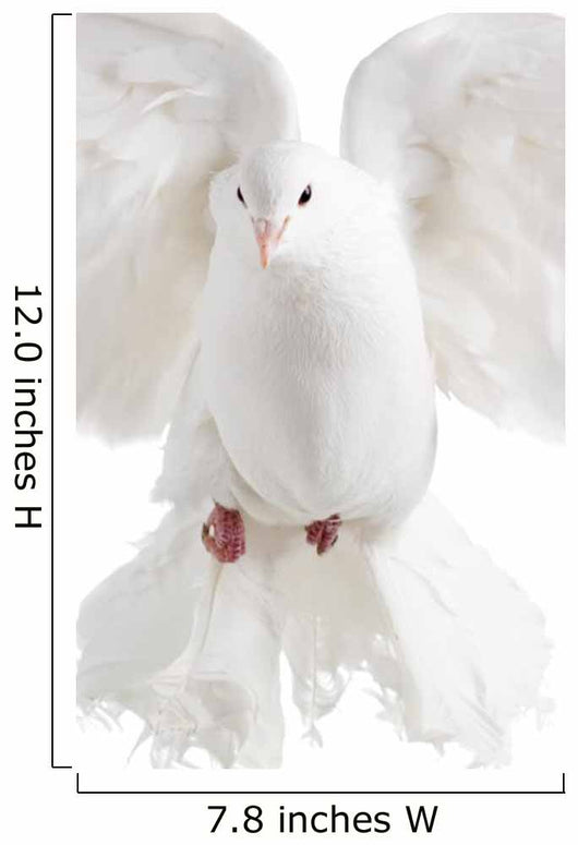 Flying Dove Wall Decal