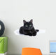 Black Cat Lying White Wall Mural