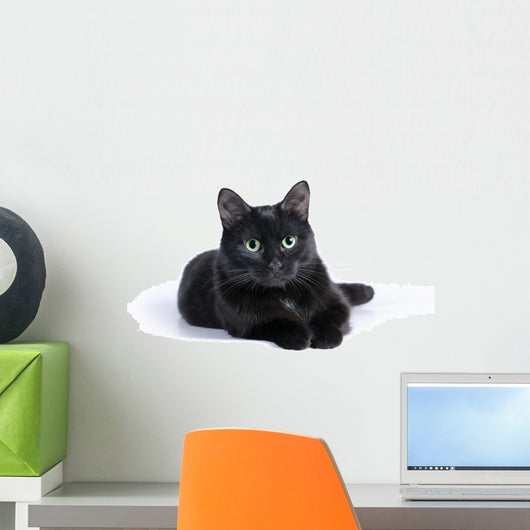 Black Cat Lying White Wall Mural