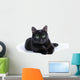 Black Cat Lying White Wall Mural