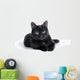 Black Cat Lying White Wall Mural