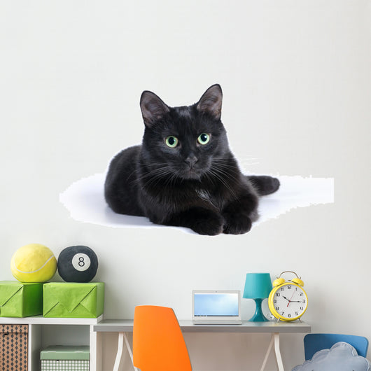 Black Cat Lying White Wall Mural