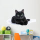 Black Cat Lying White Wall Mural