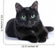 Black Cat Lying White Wall Mural